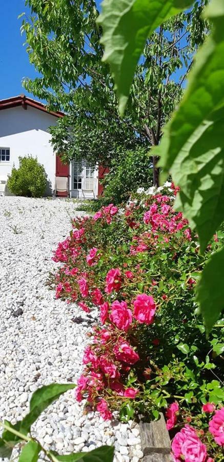 Ahetze Hotel & Spa Harretchea, Cote Basque מראה חיצוני תמונה